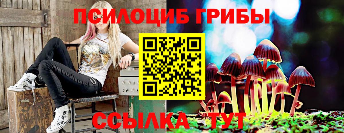 Псилоцибиновые грибы мухоморы  Псилоцибиновые грибы GOLDEN TEACHER  Зерноград  Вход с VPN 